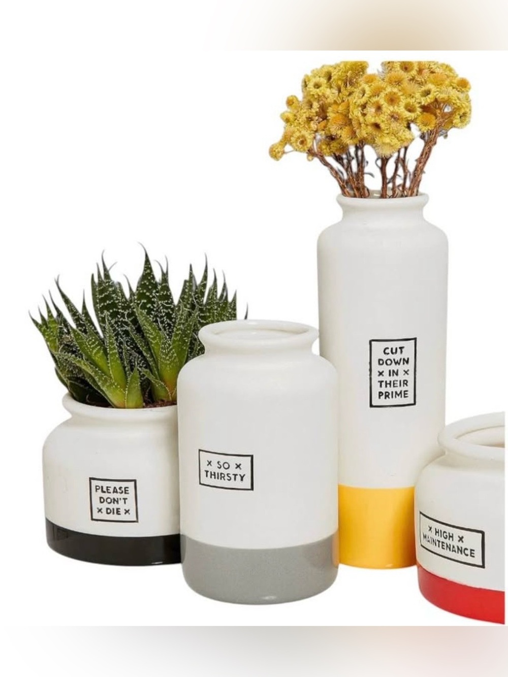 High Maintenance Planters and Vases - Set of 4